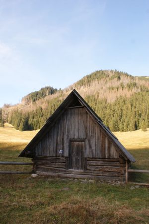 Wycieczka 3e 46